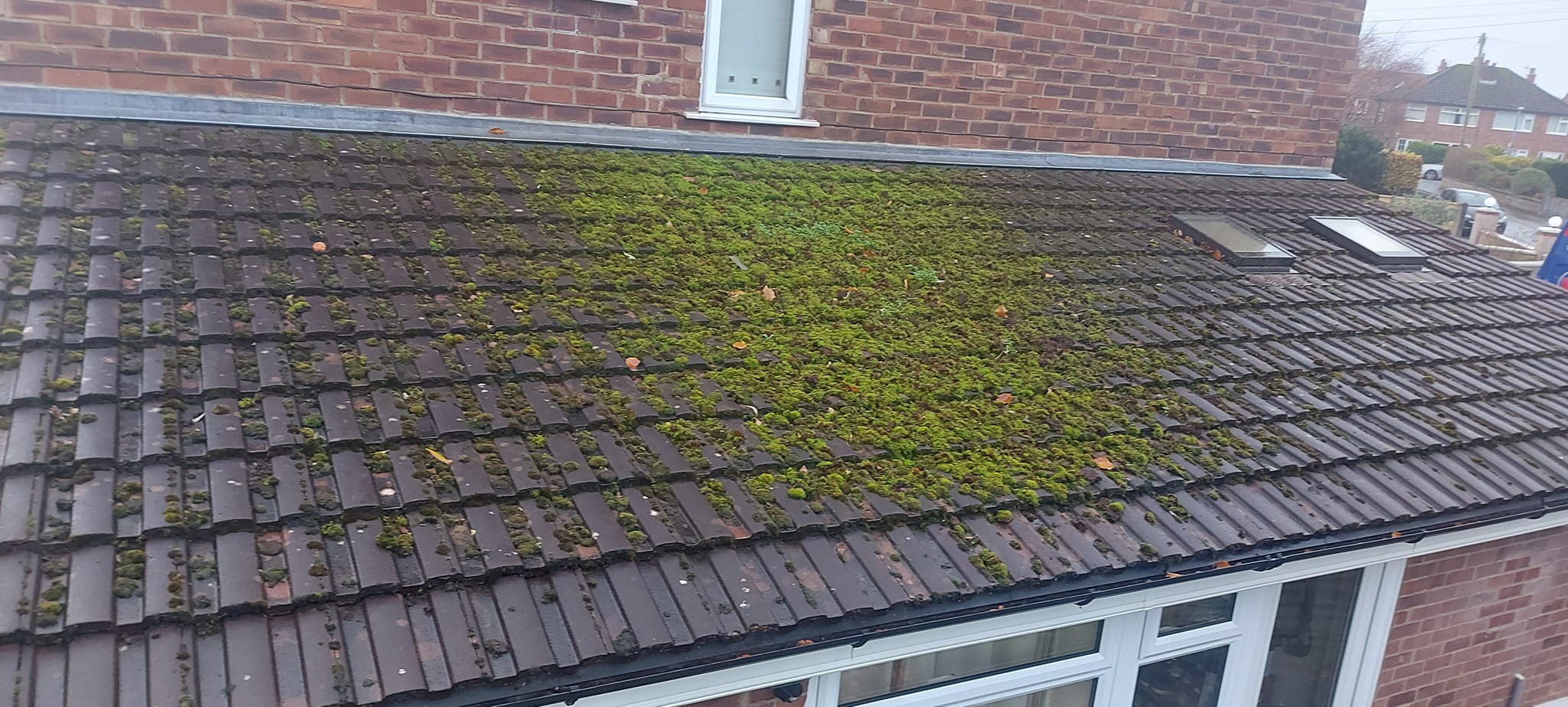 roof cleaning Clitheroe before1